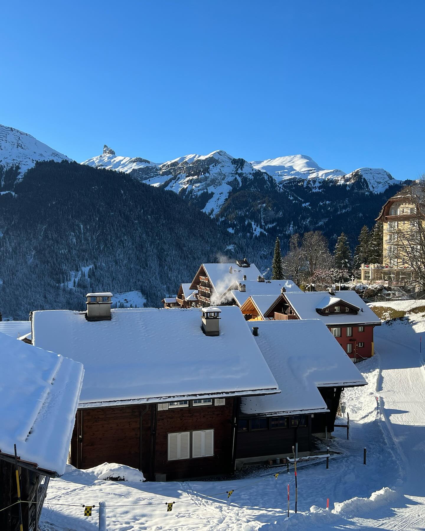 That time of year again ❄️⛄️🛷
#switerland #switzerland🇨🇭 #grindelwald #grindelwald🇨🇭 #jungfrau #eiger #tabogganing #nopaddlerequired #sup #isup #happypaddles