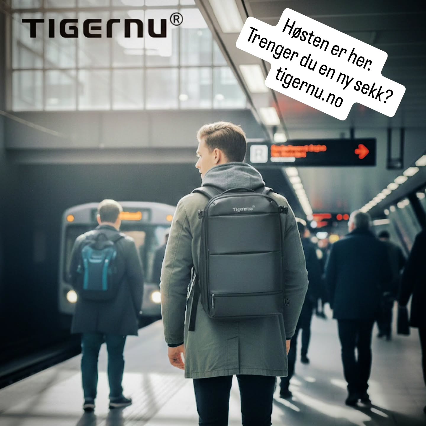 Tigernu.no
Høstens sekker er på plass.
