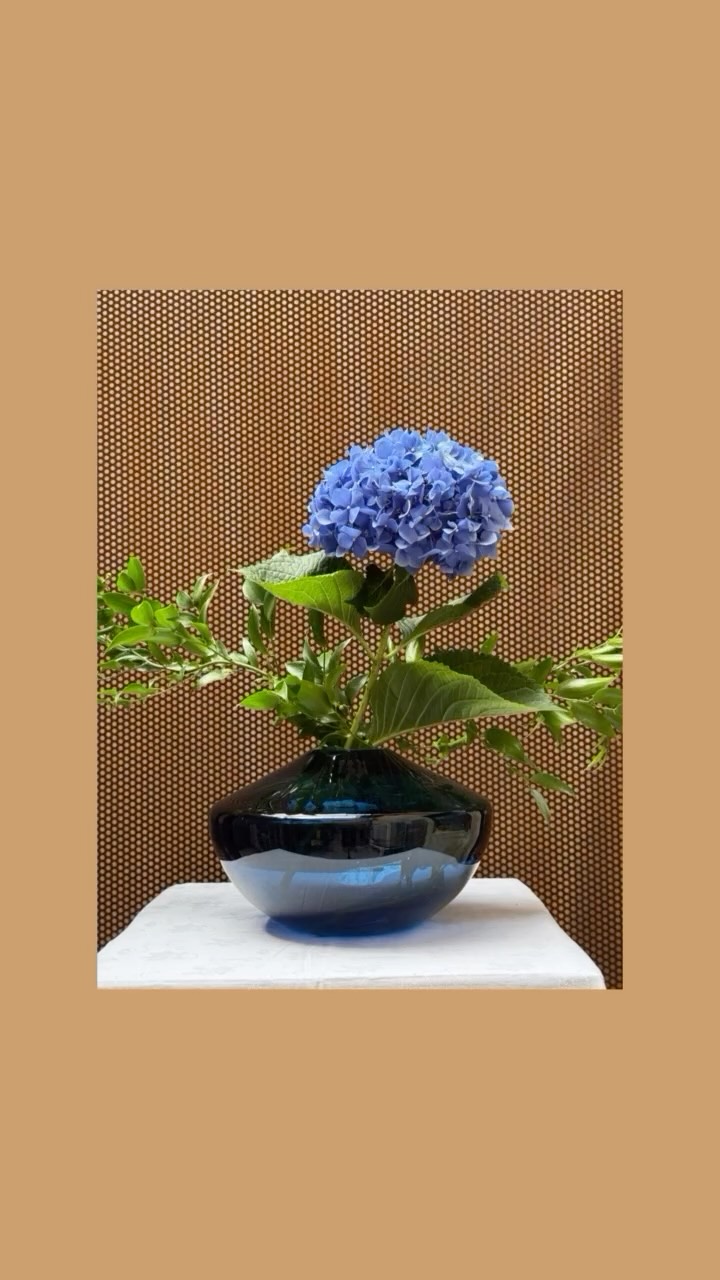 Blue Vase Arrangement / Composizione in Vaso Blu
See how the blue flowers come to life in a deep blue Murano vase. The contrast of shades and the reflection of light on the glass create a serene yet striking table centerpiece. Perfect for bringing sophistication to any home.
Guarda come i fiori blu prendono vita in un vaso blu profondo di Murano. Il contrasto delle sfumature e i riflessi della luce sul vetro creano un centrotavola elegante e armonioso. Ideale per dare stile a ogni ambiente.
#BlueVase #VasoBlu #MuranoGlass #VetroMurano #FloralArrangement GlassArt TableCenterpiece LuxuryDecor ItalianDesign HandBlownGlass